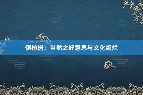 侧柏树：当然之好意思与文化绚烂