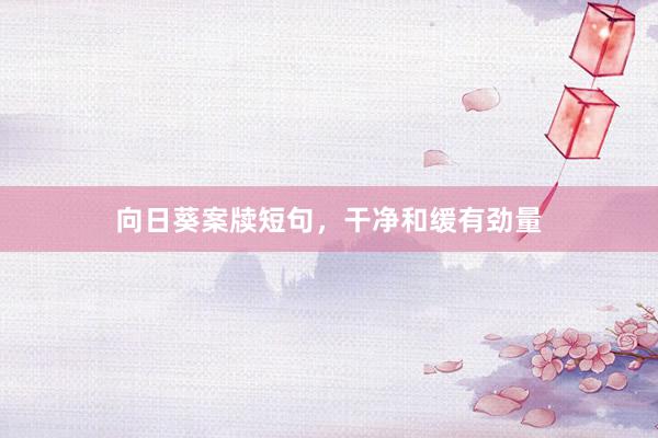向日葵案牍短句，干净和缓有劲量