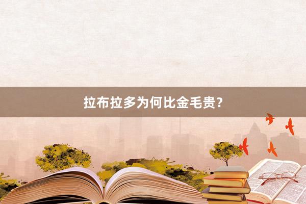 拉布拉多为何比金毛贵？