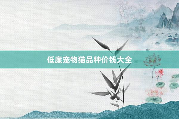 低廉宠物猫品种价钱大全