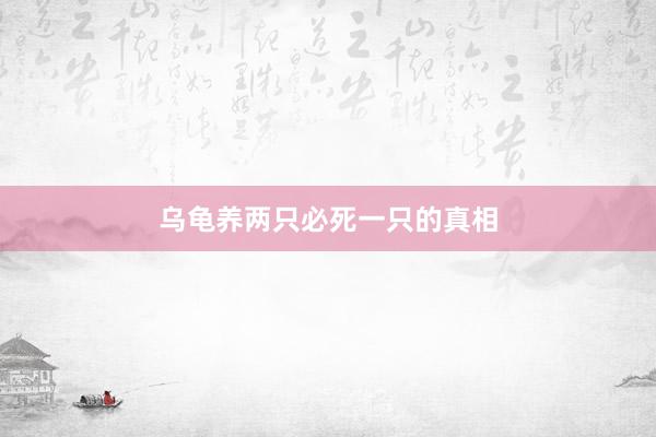 乌龟养两只必死一只的真相