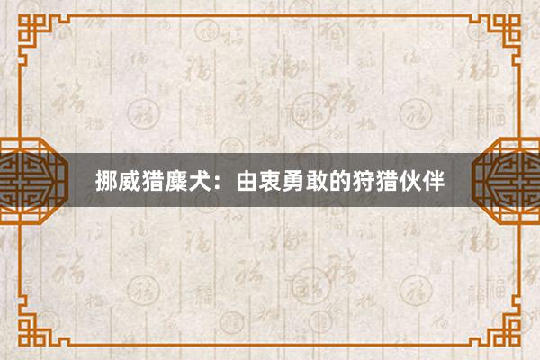 挪威猎麋犬：由衷勇敢的狩猎伙伴